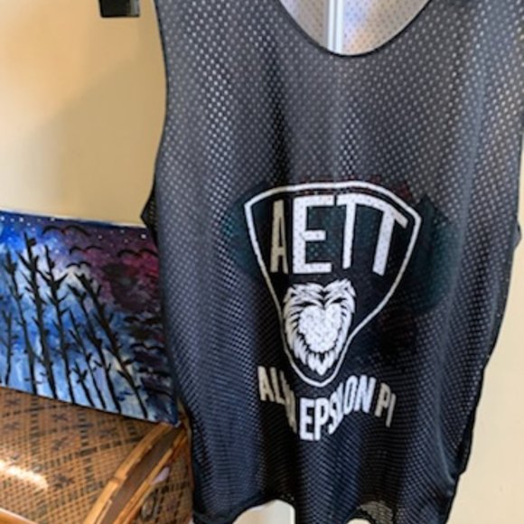 Alpha Epsilon Pi reversible sleeveless  jersey - Picture 5 of 8